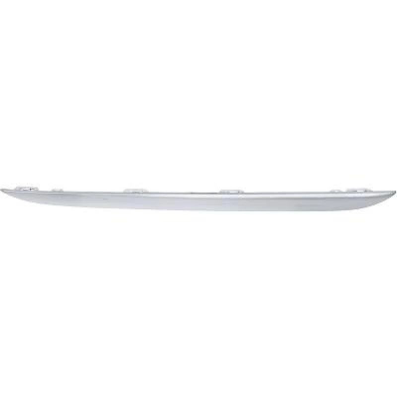 Image of Bumper moulding DIEDERICHS 1673066