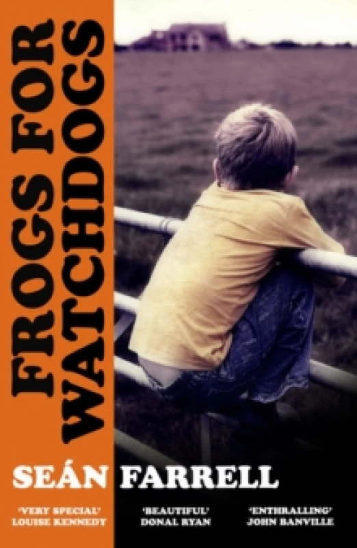 Image of Frogs for Watchdogs : 'A stunning novel that will live long in my imagination DONAL RYAN Paperback / softback