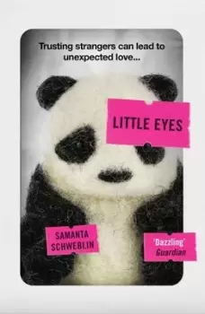 Image of Little eyes by Samanta Schweblin