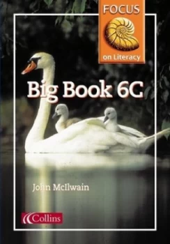 Image of Focus on Literacy 40 - Big Book 6c by John Mcilwain Paperback