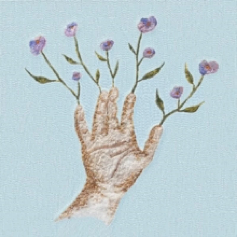 Image of Crocus CD / Album