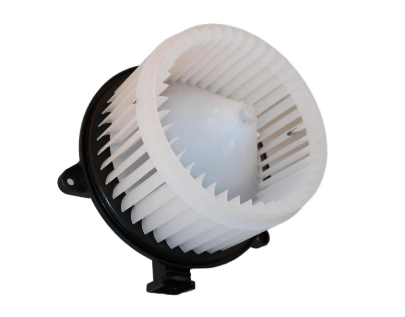 Image of Blower motor WALKER WBL00821