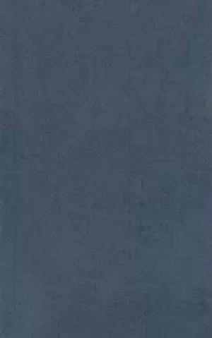 Image of iliad books 13 24