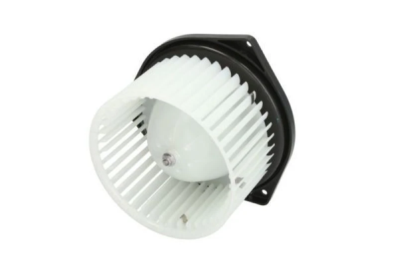 Image of THERMOTEC Blower motor THERMOTEC DD8001TT