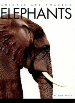 Image of Elephants by Kate Riggs Paperback