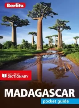 Image of Madagascar - Philip Briggs - Paperback - Used