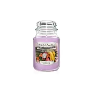 Image of Marco Paul - Yankee Candle Home Inspiration Exclusive (Banana Flower, Large)