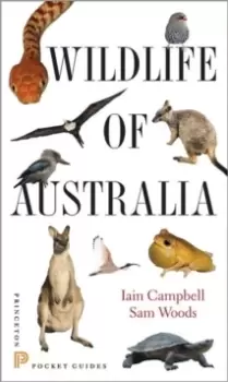 Image of Wildlife of Australia