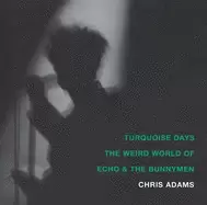 Image of turquoise days the weird world of echo and the bunnymen