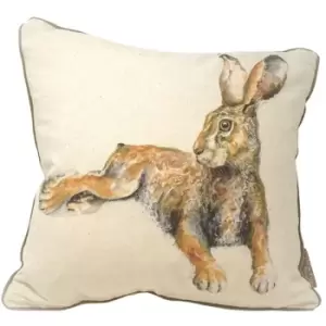 Image of Jane Bannon Sacha Feather Filled Cushion (One Size) (Brown/White) - Brown/White
