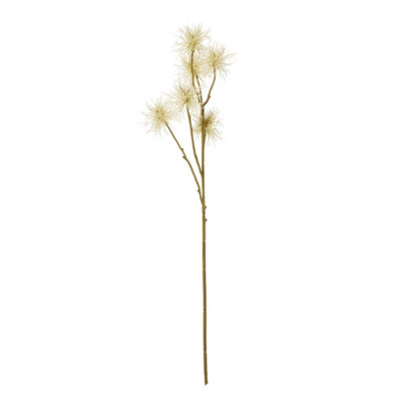 Image of Cream Xanthium Spray