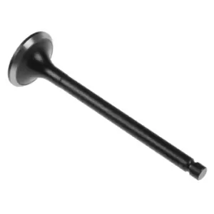 Image of Exhaust Valve ADU176103 by Blue Print
