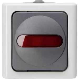 image of Kopp 561656007 Wet room switch product range Complete Control switch BlueElectric Grey