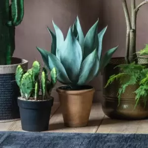 Image of Crossland Grove Aloe Wide Leaf 560X560X560Mm