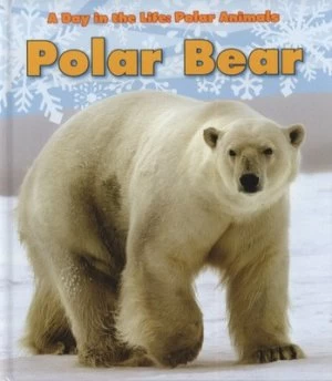 Image of Polar Bear by Katie Marsico Hardback
