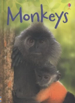 Image of Monkeys by Lucy Beckett-Bowman and Jenny Cooper and Sue King Hardback