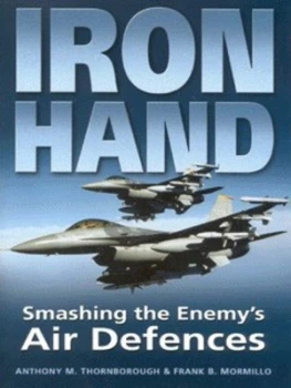 Image of Iron Hand by Anthony M Thornborough and Frank B Mormillo and Tony Cassanova and Kevin Jackson Hardback