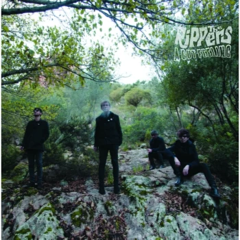 Image of The Rippers - A Gut Feeling Vinyl