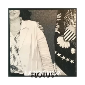 Image of Flotus by Lambchop Vinyl Album