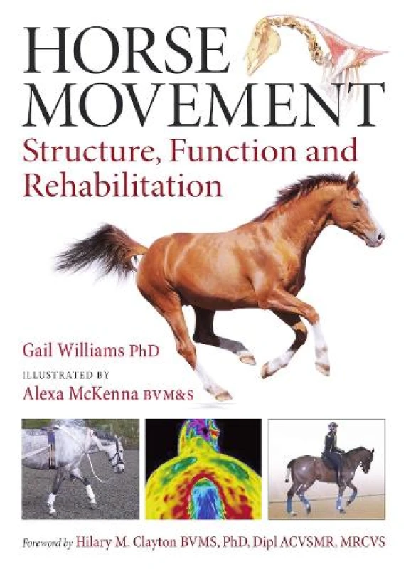 Image of Horse Movement : Structure, Function and Rehabilitation Hardback