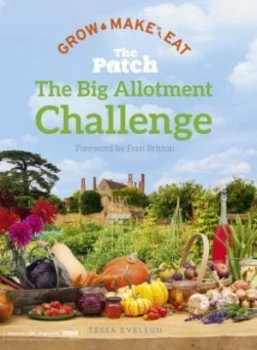 Image of The patch by Tessa Evelegh