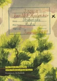 Image of I Saw a Beautiful Woodpecker