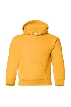 image of Heavy Blend Hooded Sweatshirt Top / Hoodie