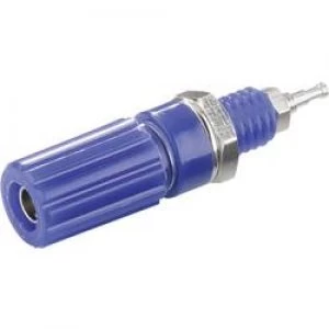 Pole terminal Blue 10 A SCI R1 9