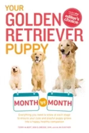 Image of your golden retriever puppy month by month everything you need to know at e