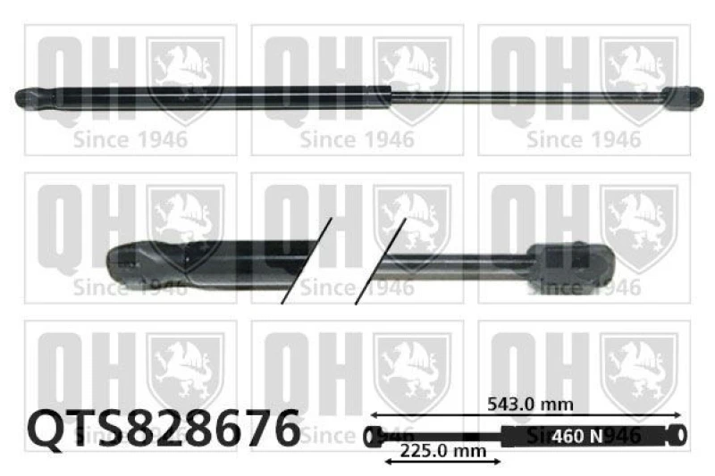 Image of QUINTON HAZELL Tailgate strut QUINTON HAZELL QTS828676