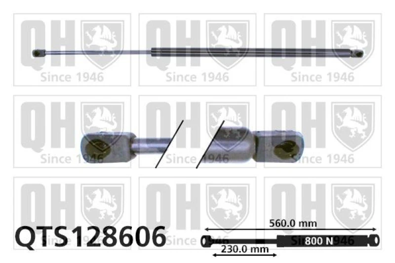 Image of QUINTON HAZELL Tailgate strut QUINTON HAZELL QTS128606