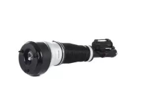 Image of RIDEX Air Spring Strut Front Axle 4118A0007 MERCEDES-BENZ,S-Klasse Limousine (W221)
