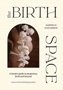 Image of The Birth Space : A Doula's Guide to Pregnancy, Birth and Beyond