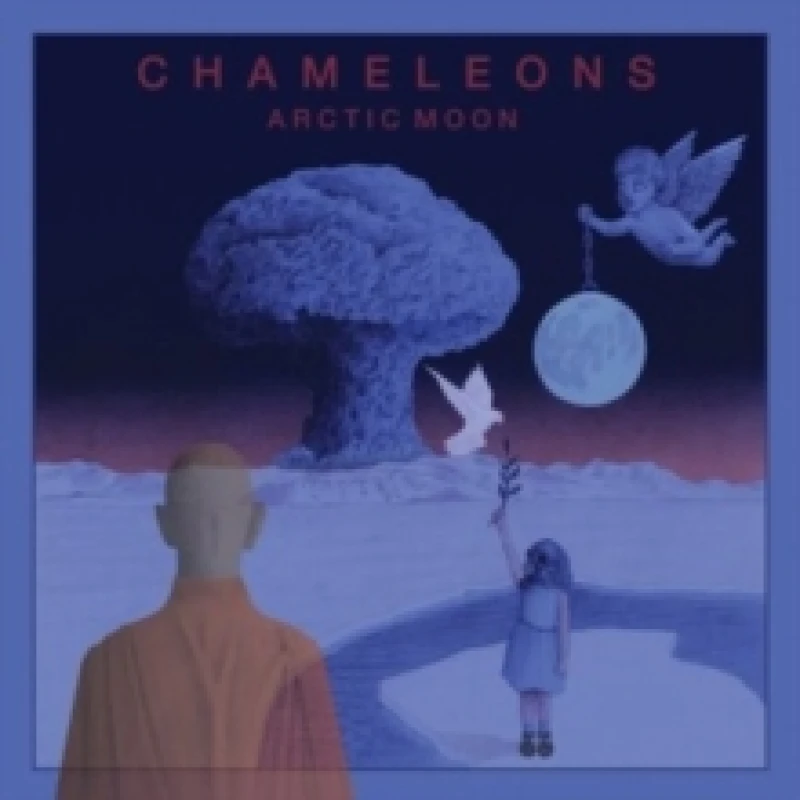 Image of Arctic moon Vinyl