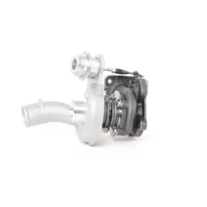 Image of RIDEX Turbocharger OPEL,RENAULT,NISSAN 2234C0002 MW30620721,MW31216381,MW31216396 Turbolader,Charger, charging system 1441100Q1D,1441100Q1E,1441100QAA