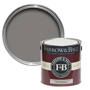 Image of Farrow & Ball Estate Mole's breath No. 276 Eggshell Metal & wood Paint 2.5L