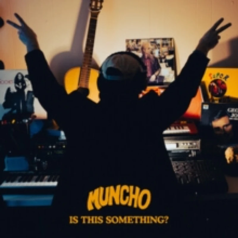 Image of Is this something? Vinyl