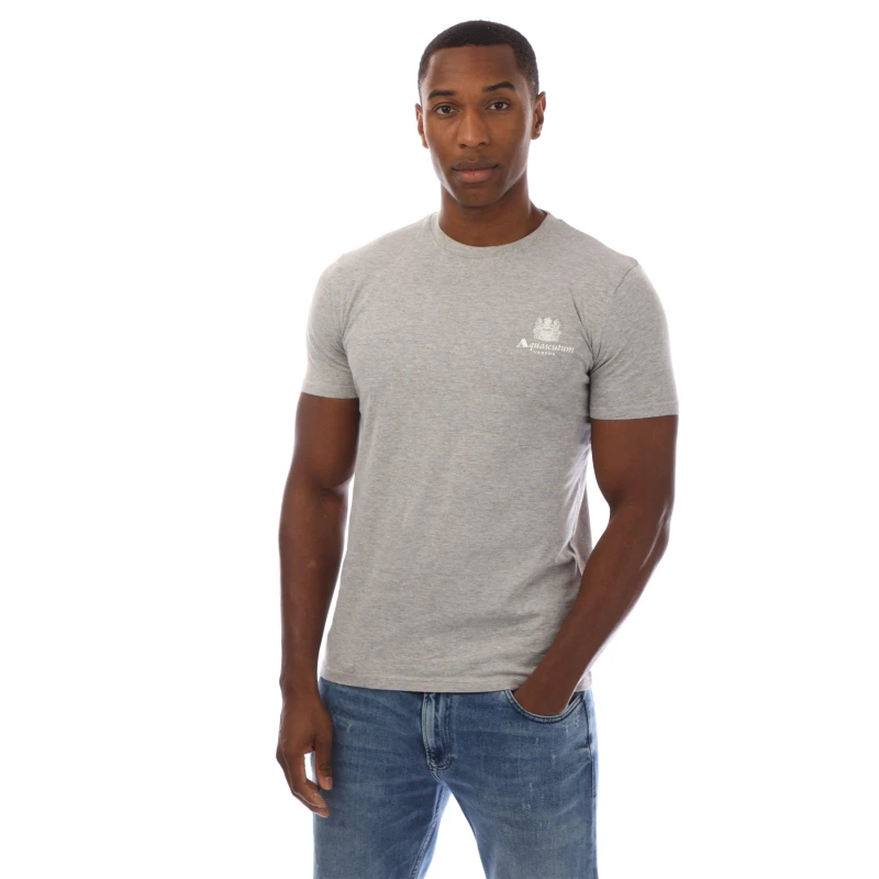 Image of Aquascutum Logo T-Shirt Light Grey/Wht male Small