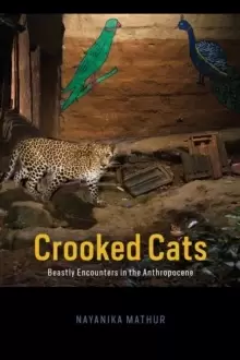 Image of Crooked Cats : Beastly Encounters in the Anthropocene