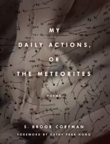 Image of My Daily Actions, or The Meteorites