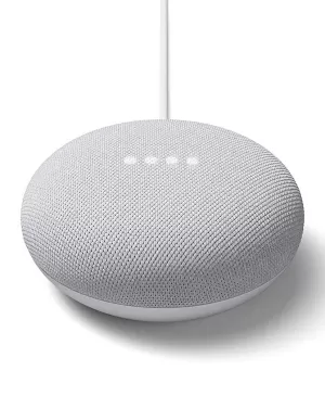 Google Nest Mini