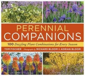 Image of Perennial Companions by Tom Fischer Paperback