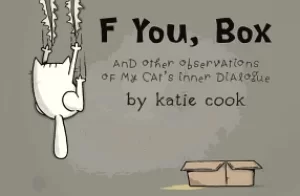 Image of f you box and other observations of my cats inner dialogue
