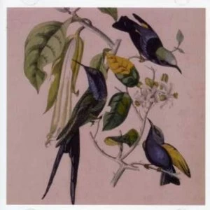 Image of Susumu Yokota - Sakura CD