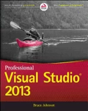 Image of professional visual studio 2013