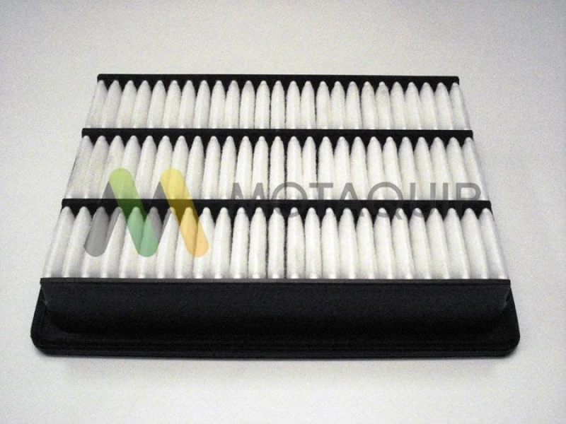 Image of MOTAQUIP Air filter MOTAQUIP LVFA1447
