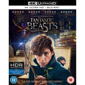 Fantastic Beasts and Where To Find Them - 4K Ultra HD