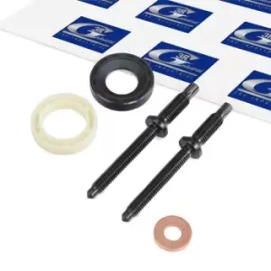 Image of 3RG Gaskets 81293 Seal Kit, injector nozzle PEUGEOT,CITROEN,MINI,206 Schragheck (2A/C),206 CC (2D),207 (WA_, WC_),307 SW (3H),307 (3A/C),407 SW (6E_)