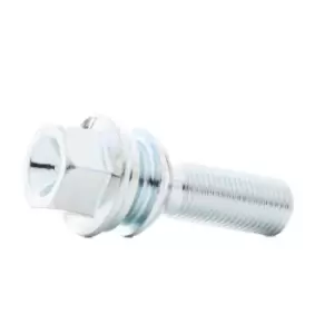 Image of EIBACH Wheel Bolt VW,PORSCHE S4-7-14-50-35-19