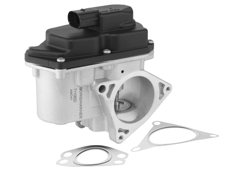 Image of EGR valve BorgWarner 711080D